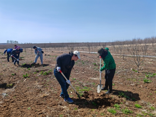 IMG_20250423_103713(1)